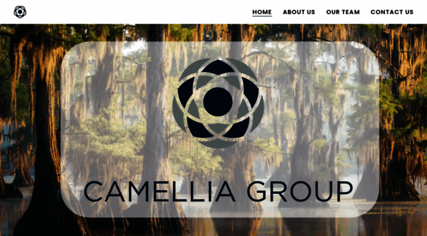 camelliagroup.com