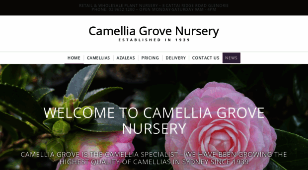 camelliagrove.com.au