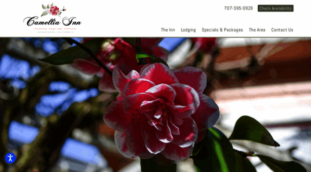 camelliainn.com