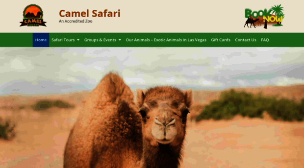 camelsafari.com