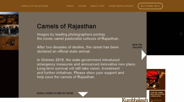 camelsofrajasthan.com