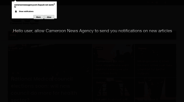 cameroonnewsagency.com
