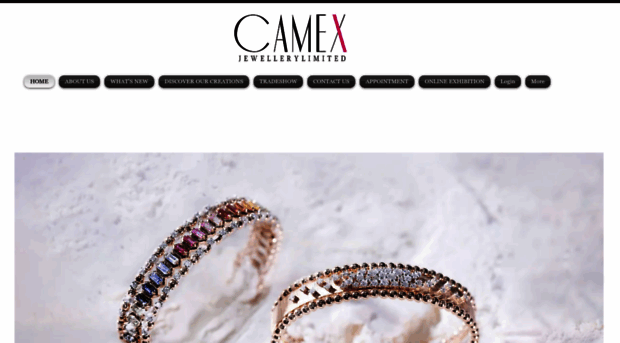 camex.com.hk