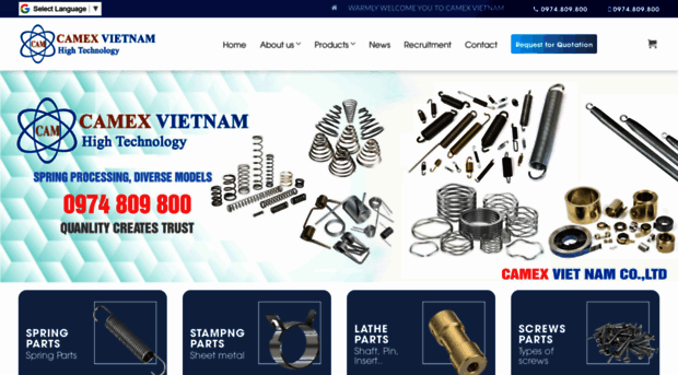 camex.com.vn