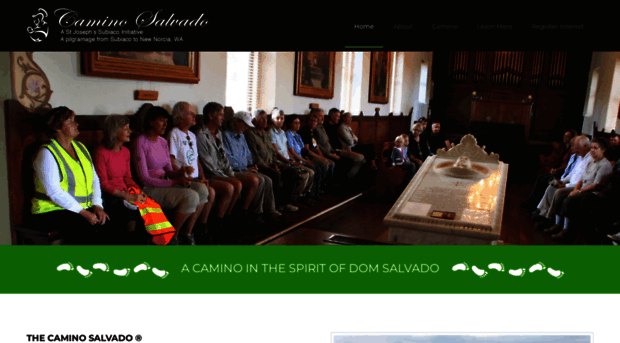 caminosalvado.com