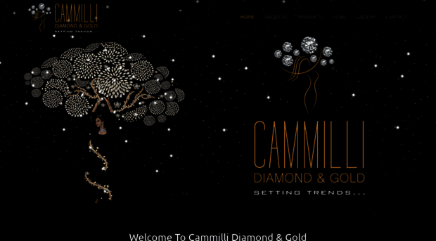 cammillidiamondandgold.com