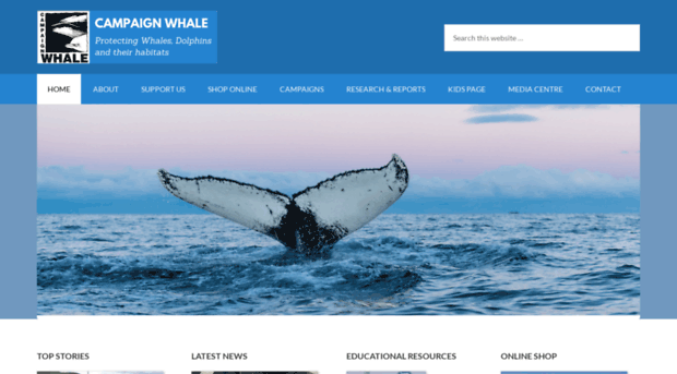 campaign-whale.org