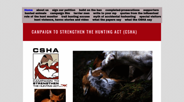 campaigntostrengthenthehuntingact.com