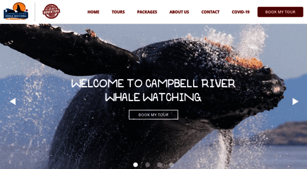 campbellriverwhalewatching.com