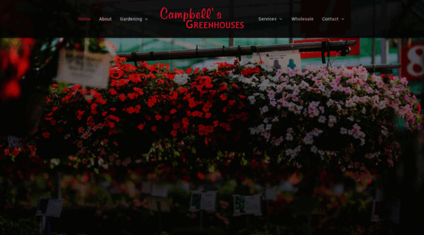 campbellsgreenhouses.com