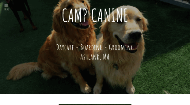 campcaninedogspa.com