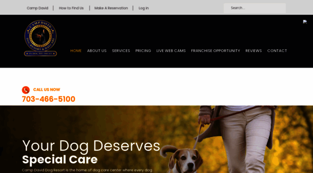 campdaviddog.com