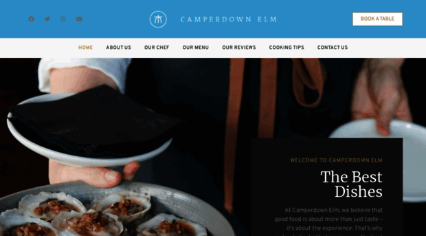 camperdownelm.com