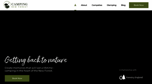campinginthenewforest.com