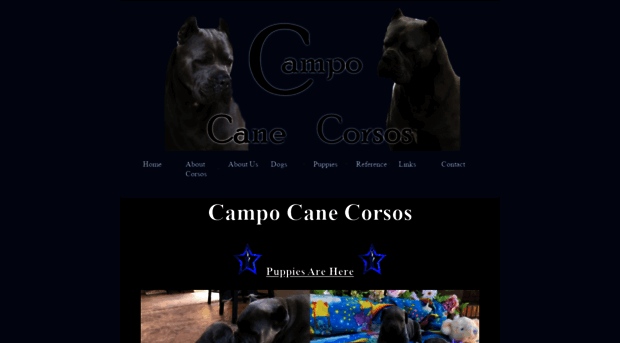 campocanecorsos.com