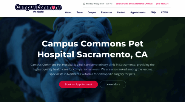 campuscommonspethospital.com