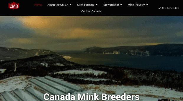 canadamink.ca