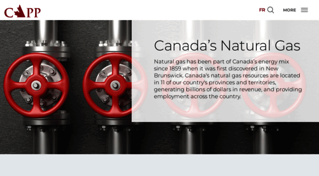 canadasnaturalgas.ca