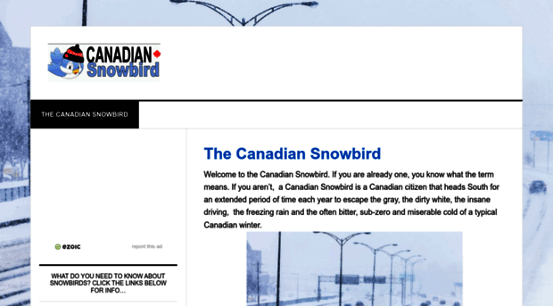 canadian-snowbird.com