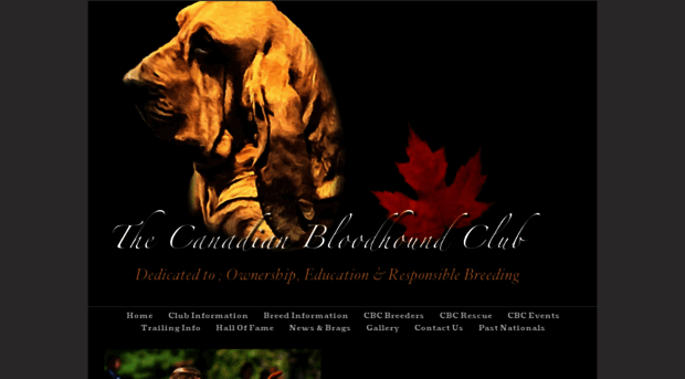 canadianbloodhoundclub.com