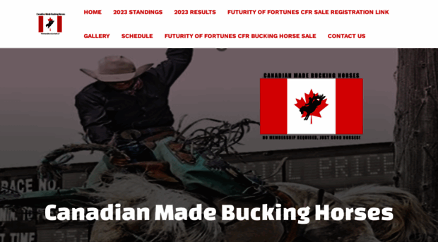 canadianmadebuckinghorses.com