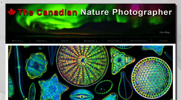 canadiannaturephotographer.com