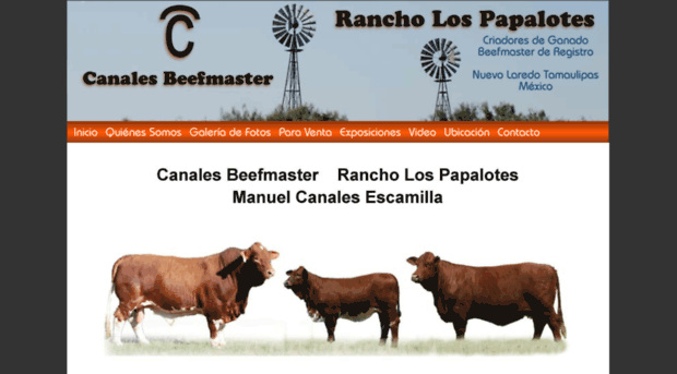 canalesbeefmaster.com