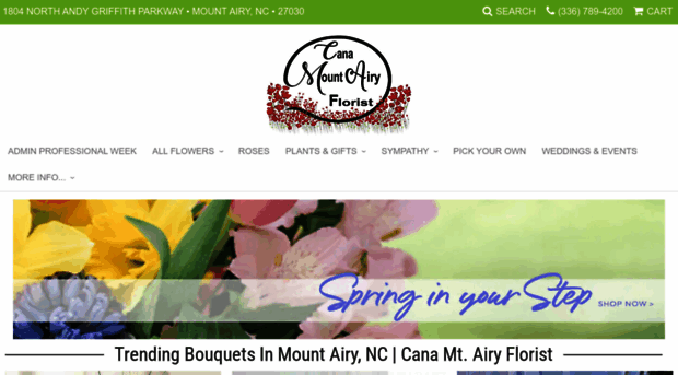 canamtairyflorist.com