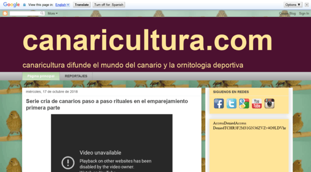 canaricultura.com