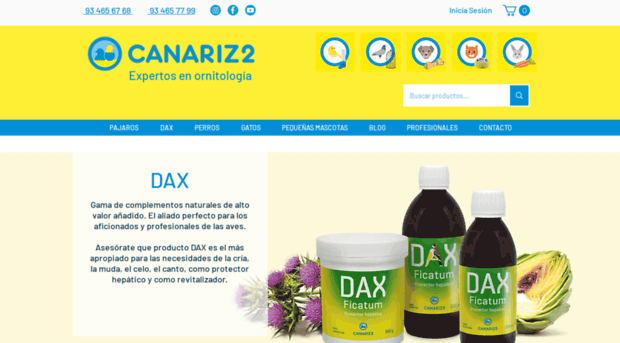 canariz2.com