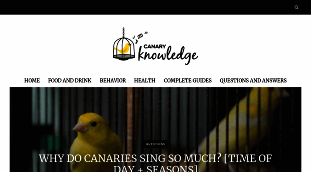 canaryknowledge.com