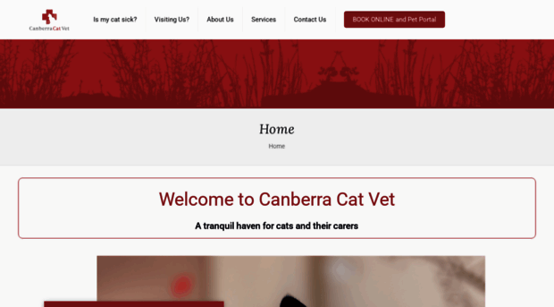 canberracatvet.com.au