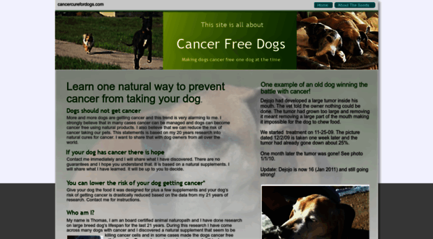 cancercurefordogs.com