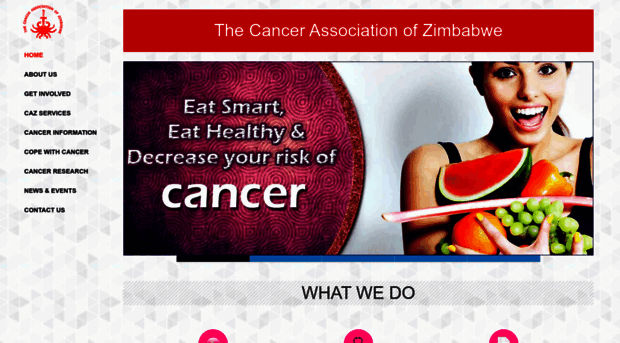 cancerzimbabwe.org