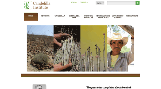 candelilla.org