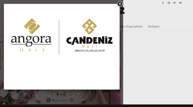 candenizhali.com