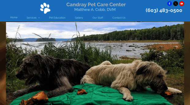 candiaraymondveterinarian.com