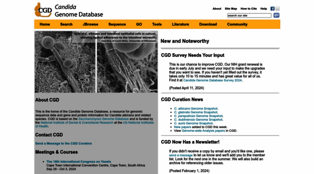 candidagenome.org