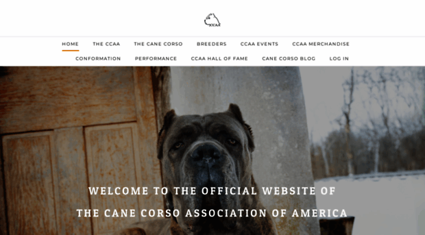 canecorso.org