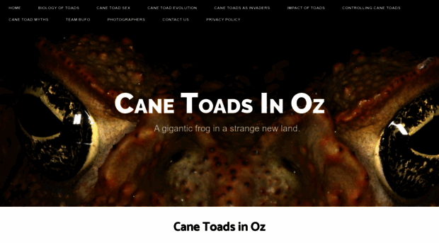 canetoadsinoz.com