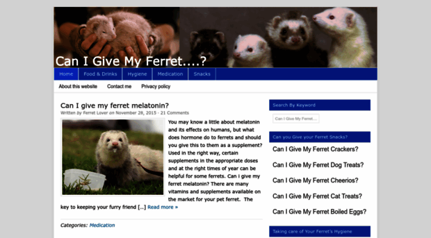 canigivemyferret.com