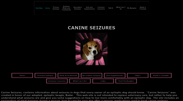 canine-seizures.freeservers.com