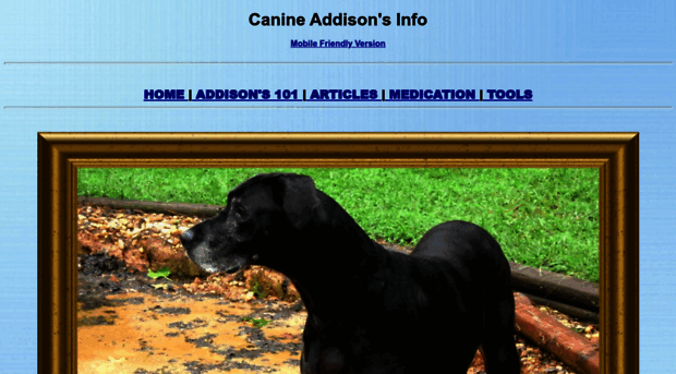 canineaddisonsinfo.com