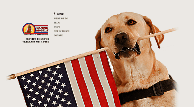 canineangelsusa.org