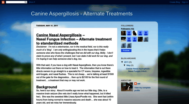 canineaspergillosis.blogspot.com