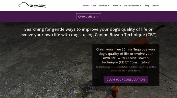 caninebowentechnique.com