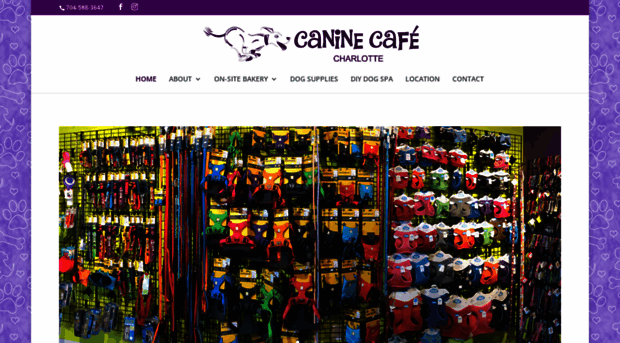 caninecafe.net