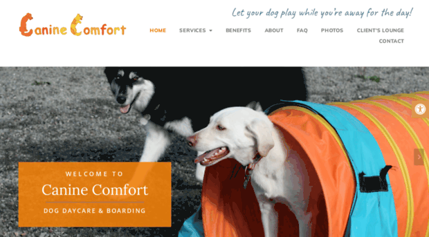 caninecomfortdaycare.com