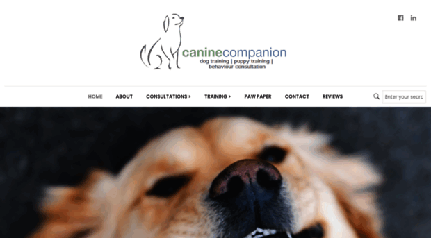 caninecompanion.co.za