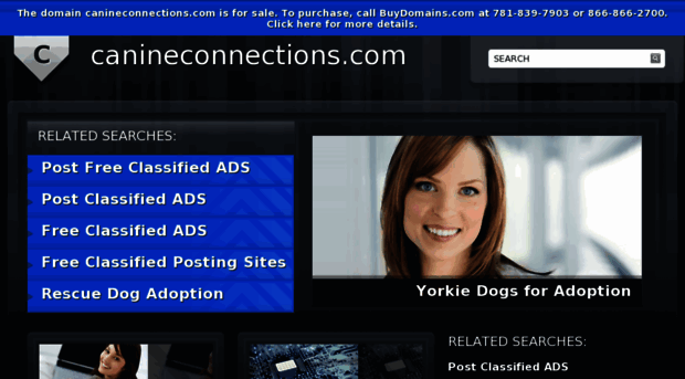 canineconnections.com